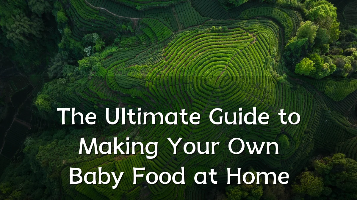 The Ultimate Guide to Making Your Own Baby Food at Home