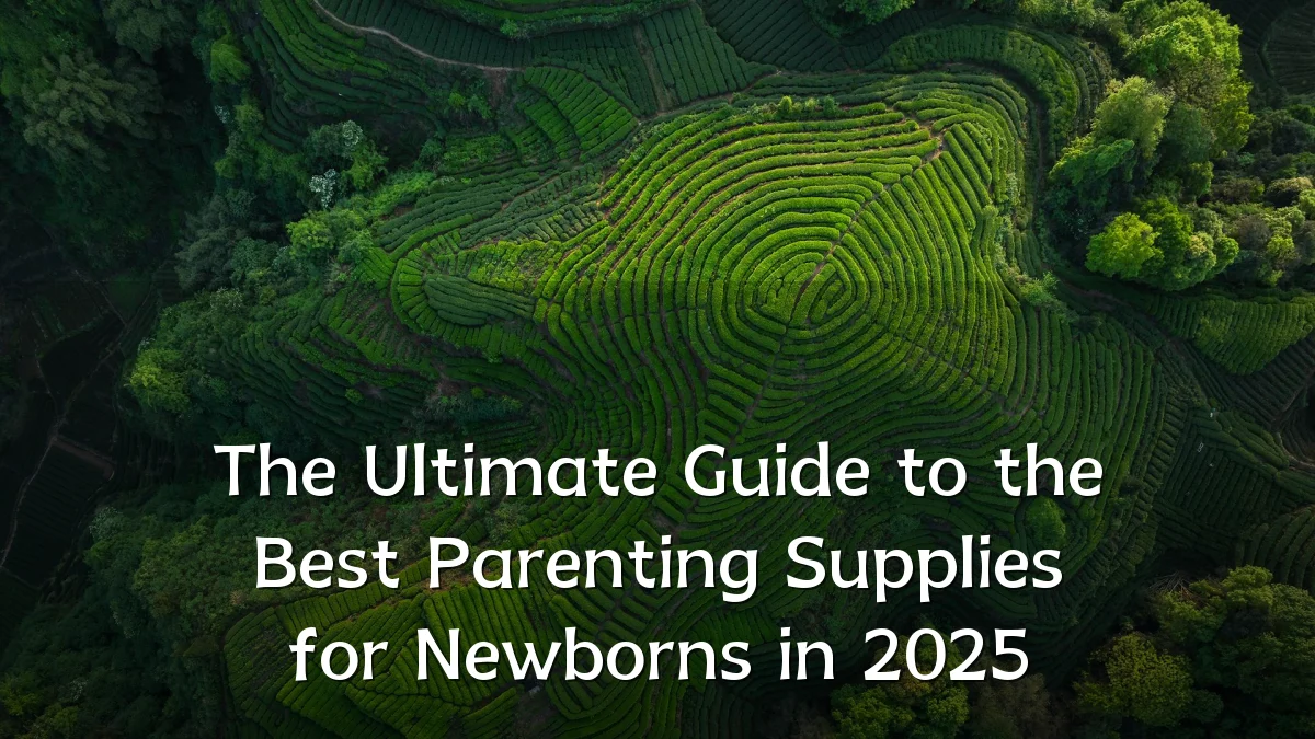 The Ultimate Guide to the Best Parenting Supplies for Newborns in 2025