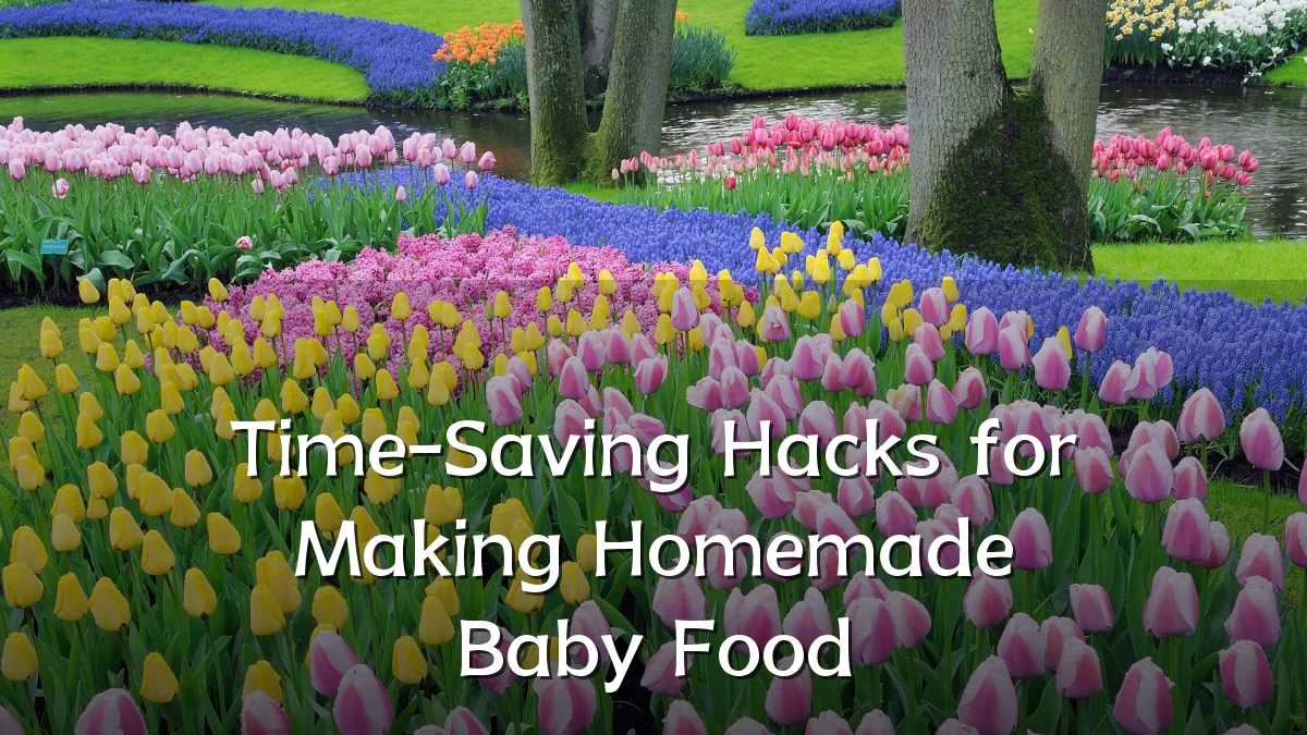 Time-Saving Hacks for Making Homemade Baby Food