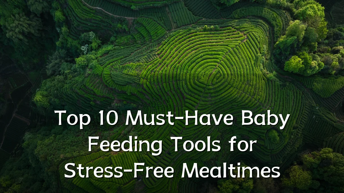 Top 10 Must-Have Baby Feeding Tools for Stress-Free Mealtimes