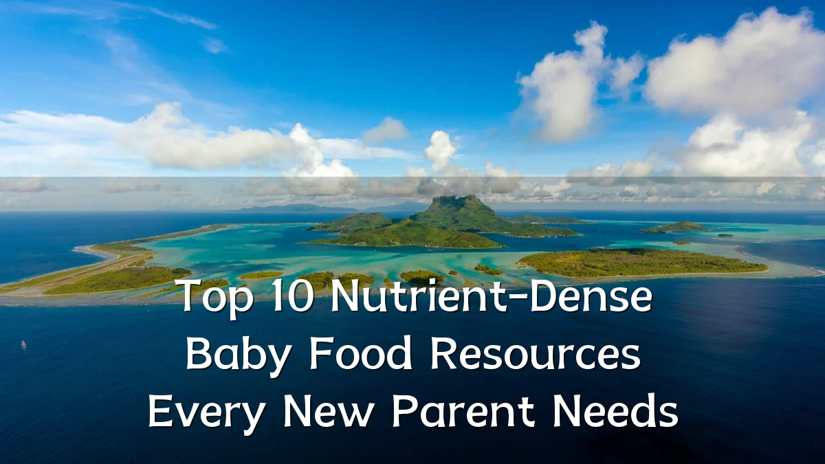 Top 10 Nutrient-Dense Baby Food Resources Every New Parent Needs