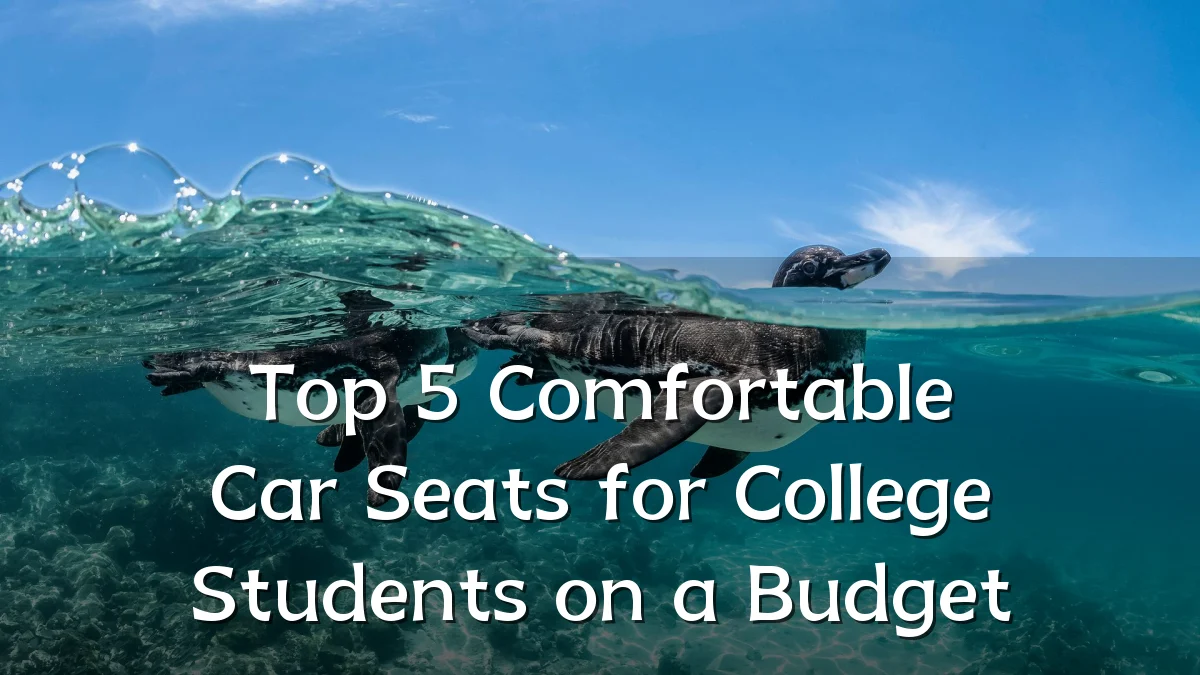 Top 5 Comfortable Car Seats for College Students on a Budget