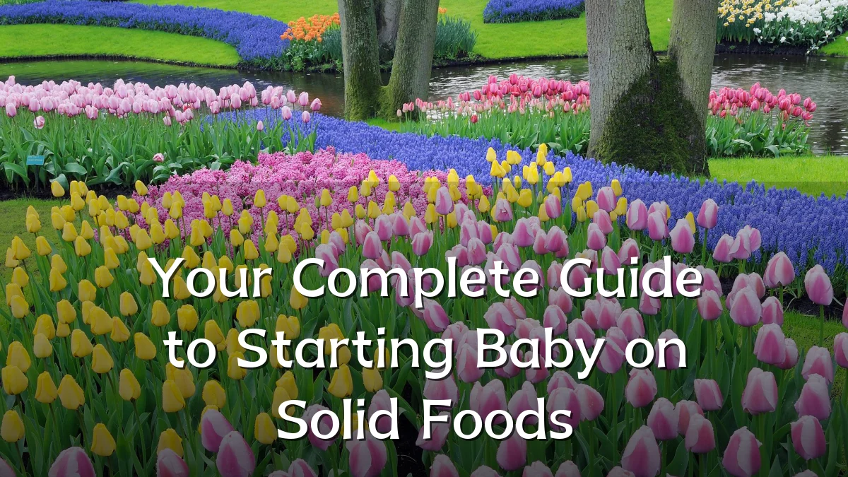 Your Complete Guide to Starting Baby on Solid Foods