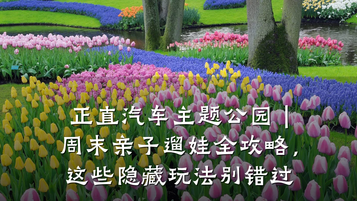正直汽车主题公园｜周末亲子遛娃全攻略，这些隐藏玩法别错过