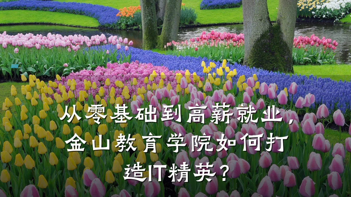 从零基础到高薪就业，金山教育学院如何打造IT精英？